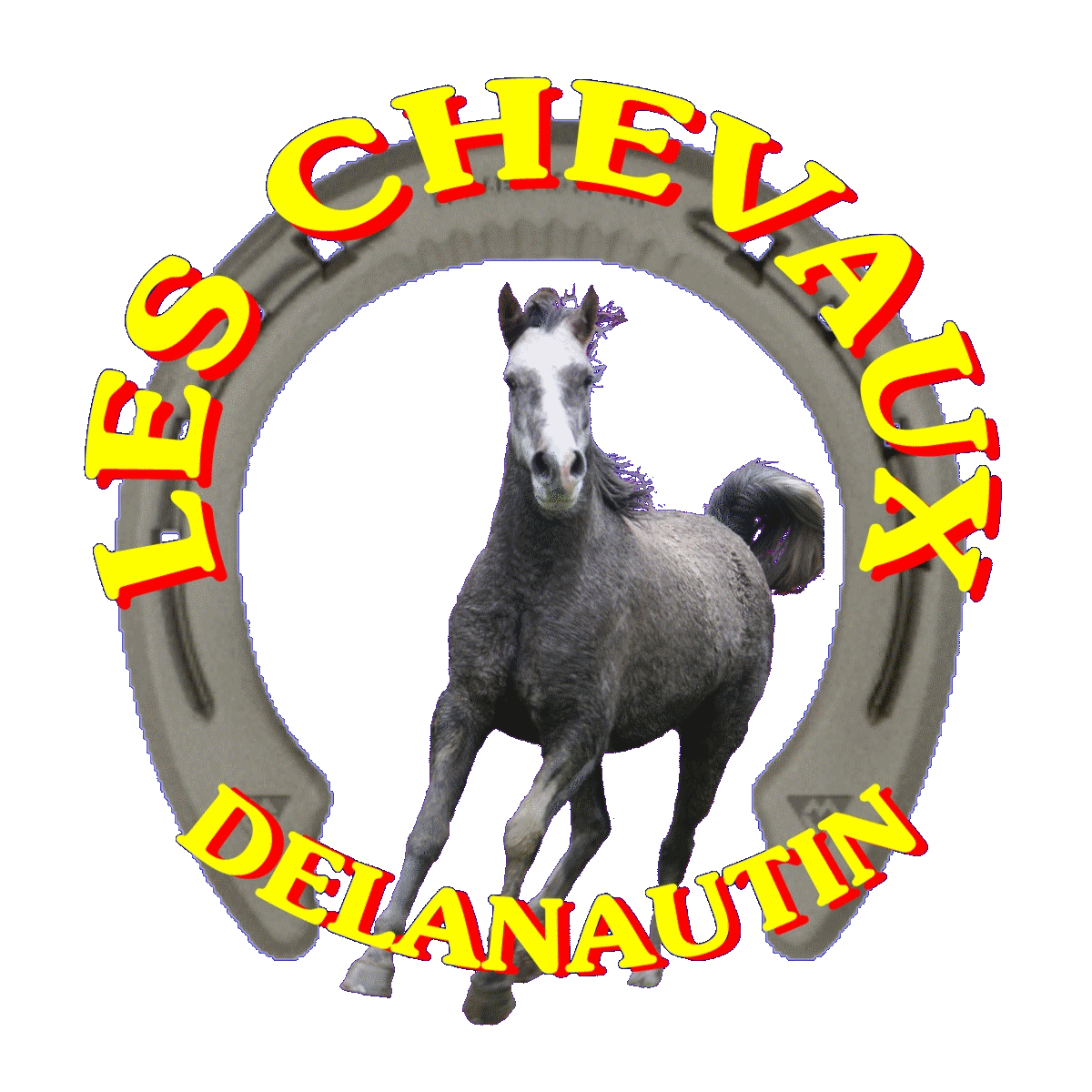 les chevaux delanautin